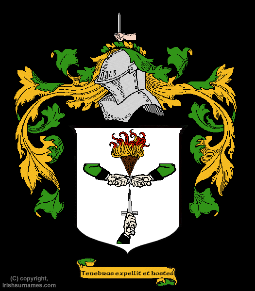 Smith Coat of Arms - Click here to view