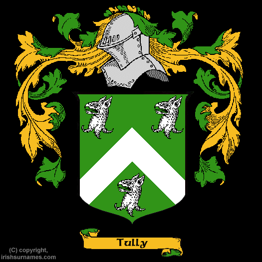 Tully Coat of Arms - Click here to view