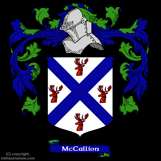 Mccallion Coat of Arms, Family Crest - Free Image to View - Mccallion ...