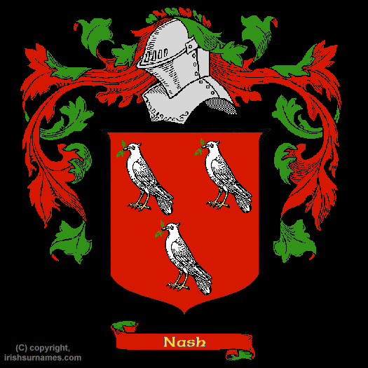 Nash Coat of Arms, Family Crest - Free Image to View - Nash Name Origin ...