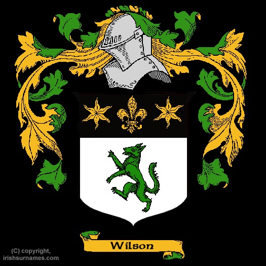 Wilson Coat of Arms, Family Crest - Free Image to View - Wilson Name ...