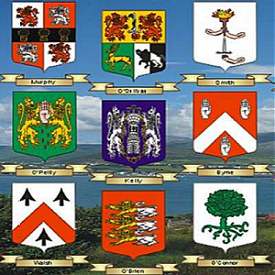 Nilon Name Meaning, Family History, Family Crest & Coats of Arms, Irish